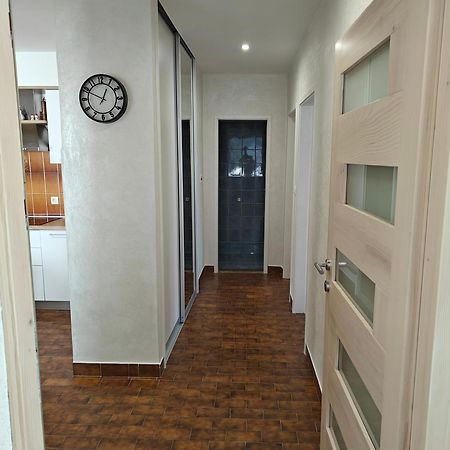 ביוגראד נה מורו Apartmani Nimcevic מראה חיצוני תמונה